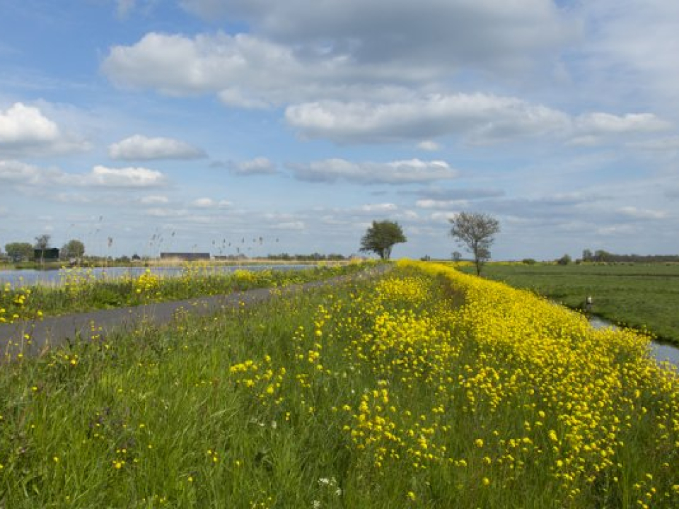 Proeftuin+voor+transitie+melkveehouderij+%26%238211%3B+RTV+Hollands+Midden