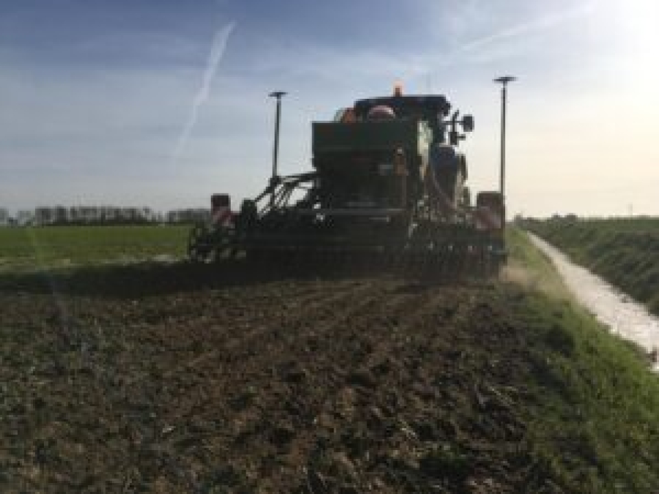 400 km akkerranden ingezaaid in Drenthe en Oost-Groningen voor schoner water