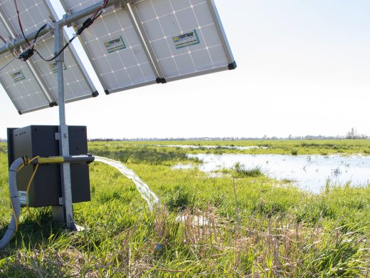 Copyright Boerennatuur Nederland