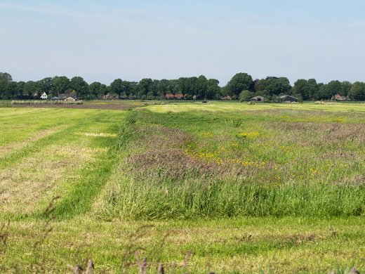 Copyright Boerennatuur Nederland