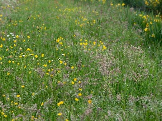 Copyright Boerennatuur Nederland