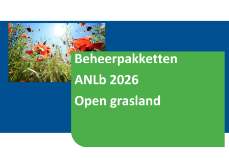 Open grasland