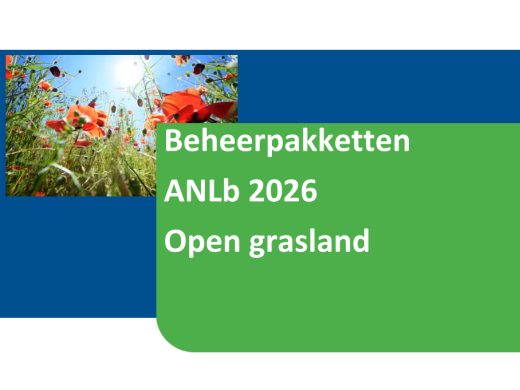 Open grasland