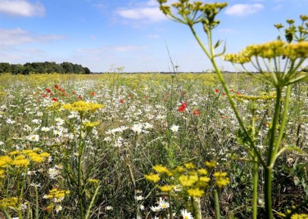 duurzaam-boeren-drenthe_thumbnail