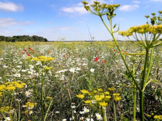 duurzaam-boeren-drenthe_thumbnail