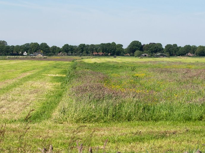 Copyright Boerennatuur Nederland