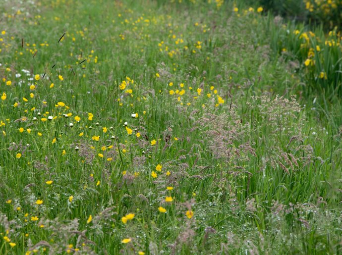 Copyright Boerennatuur Nederland