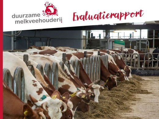 duurzame-melkveehouderij-drenthe