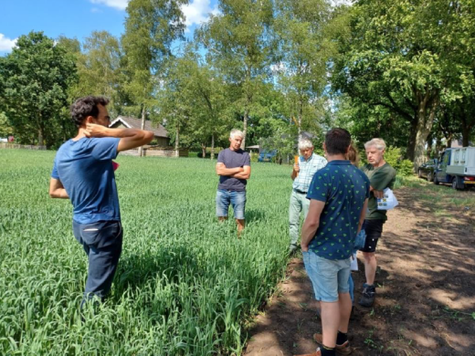 Foto artikel veldbijeenkomst proeftuin NIL