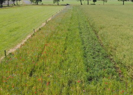 15-wintervoedselakker_f