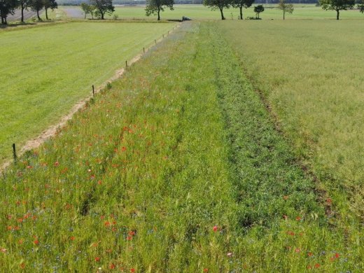 15-wintervoedselakker_f