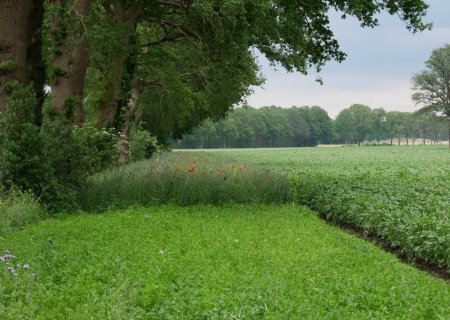 9-poel-en-klein-historisch-water_f