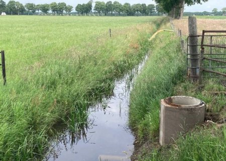 13-botanisch-grasland-randen.1_f