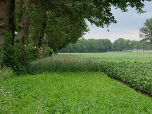9-poel-en-klein-historisch-water_f
