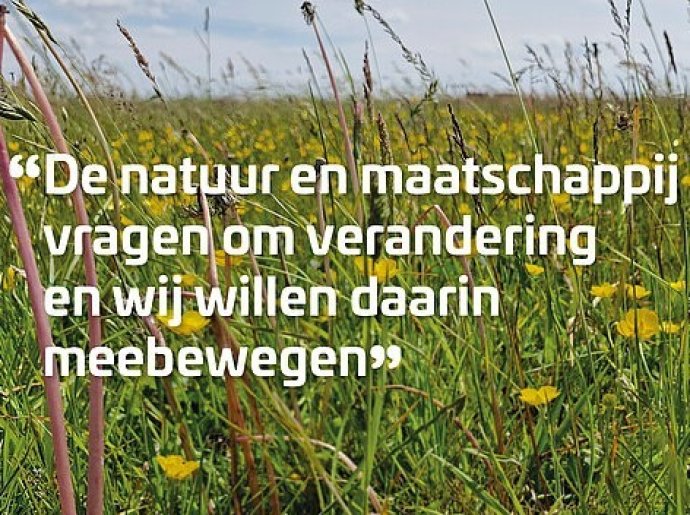 Kruidenrijk_grasland_gemeente_Hoogeveen_AND