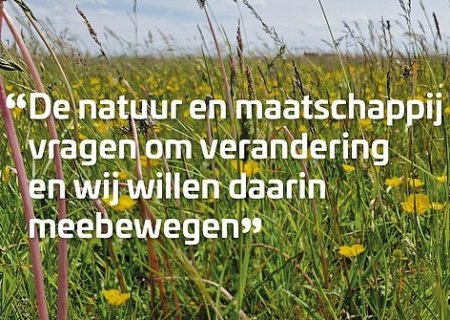 Kruidenrijk_grasland_gemeente_Hoogeveen_AND