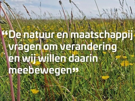 Kruidenrijk_grasland_gemeente_Hoogeveen_AND